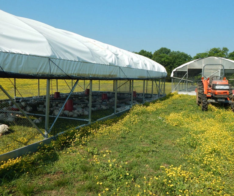 Prairie Schooner - Featherman Equipment - Pasture Raised